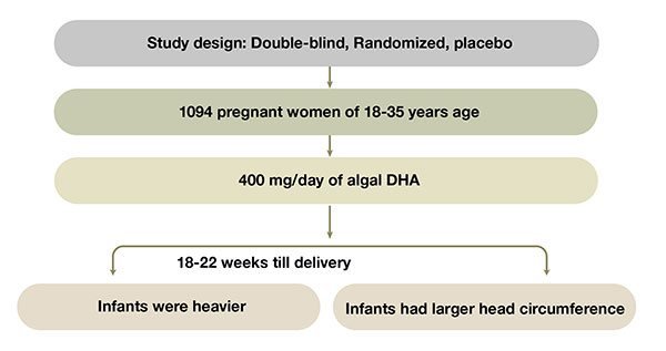 DHA increase gestational age and birth size